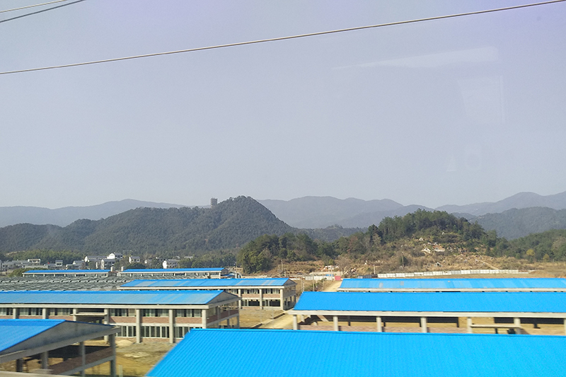 广东树脂瓦